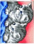 Схема вишивки бісером (хрестиком) «Котики (252)»