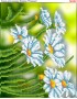 Схема вишивки бісером (хрестиком) «Ромашки (262)»