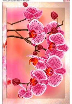 Схема для вишивки бісером (нитками) Орхідея (3092)