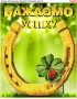 Схема вишивки бісером (хрестиком) «Бажаємо успіху! (380)»