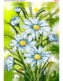 Схема вишивки бісером (хрестиком) «Ромашки (533)»