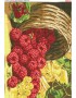 Схема вишивки бісером (хрестиком) «Малина (534)»