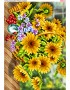 Схема вишивки бісером (хрестиком) «Соняхи (640)»