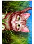 Схема вишивки бісером (хрестиком) «Котик у траві (A535)»