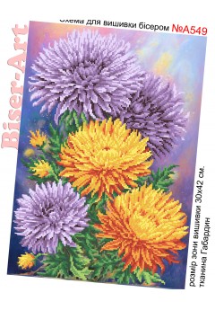 Схема вишивки бісером (нитками) Айстри (A549)