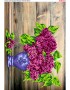 Схема вишивки бісером (хрестиком) Ніжний бузок (B550)