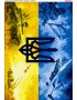 Схема вишивки бісером (хрестиком) Гордість України (B563)